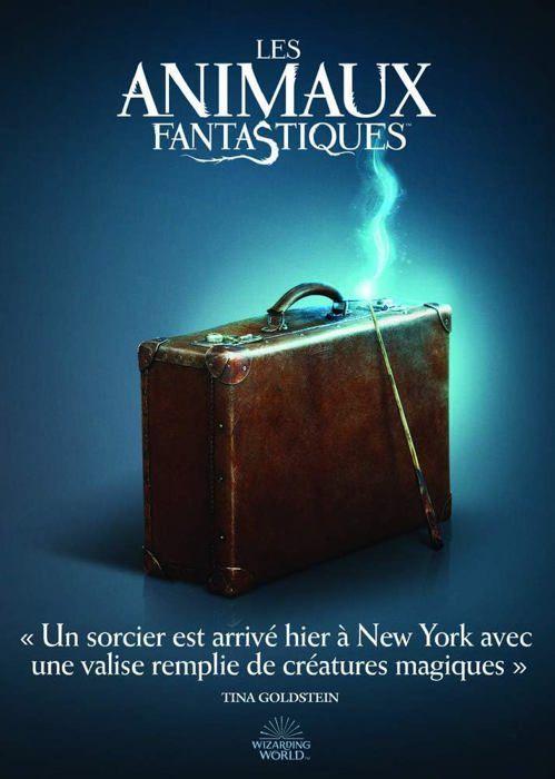 Dvd film les animaux fantastiques