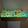 Ciondolo Scatola Conchiglia Conchiglia Trasparente Luminosa per Creazione Gioielli Charms Fai da Te Ornamento Decorazione Casa