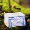 Housing Nest Farm Habitat Breeding Case for Birthday Home Children's Day