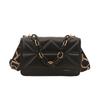 Niche Bag Women's Foreign Style Small Square Bag 2025 Summer New Fashion Simple Shoulder Bag Casual Trend Messenger Bag