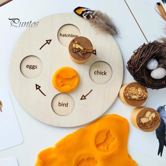 1 Set Tier-Lebenszyklus-Lerntablett Frosch-Vogel-Lebenszyklus Vorschulisches Lernen Holzblock-Puzzlebrett Kleinkinder Jungen Mädchen Pädagogische Tierscheibe