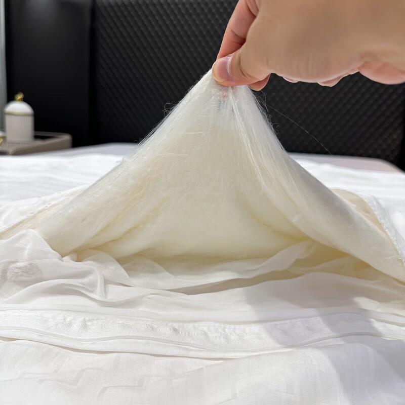 Aotejia Pure Mulberry Silk Quilt