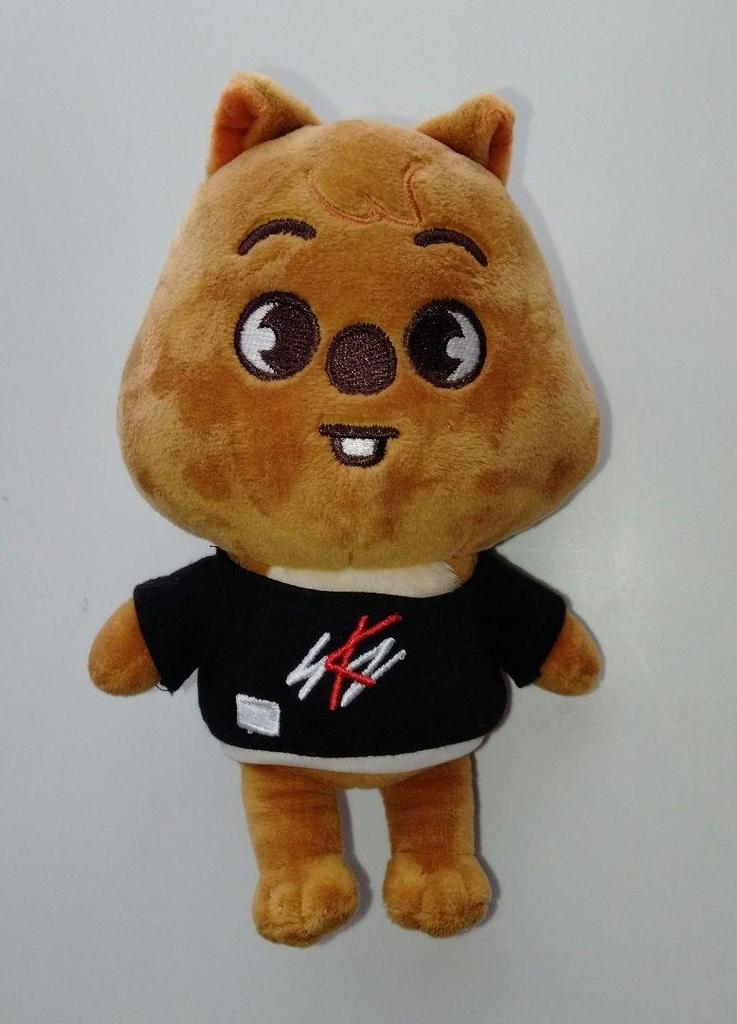 [USED] straykids skzoo han