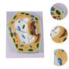 Cell Anatomy Model Anatomical Educational Stem Kit Biology Science Projects