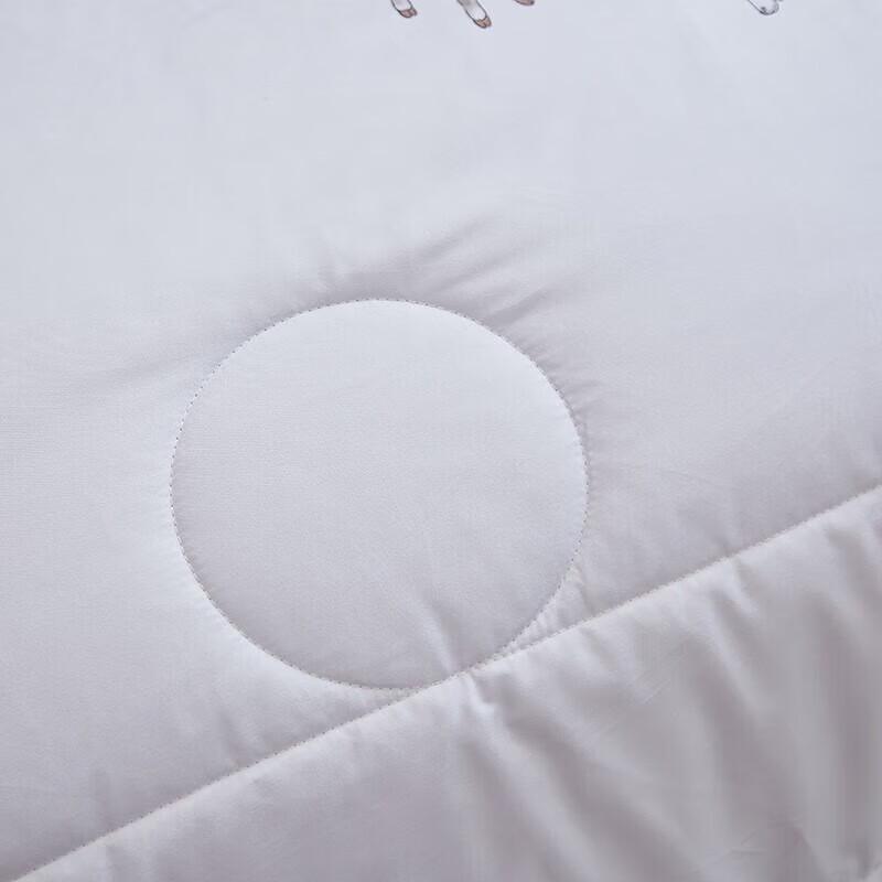 Hengyuanxiang Xiangyi Wool Quilt