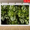2D Exotic Plant Backdrop, Lush Green and White Leaves Photography Background