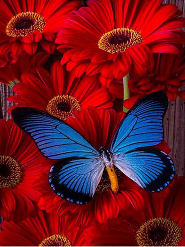 5D Diamond Painting Butterfly Cross Stitch Kit Full Drill Diamond Embroidery Flower Mosaic Daisy Rhinestone Handmade Gift