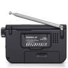PANDA 6123 Portable Multi-Band Pocket Radio
