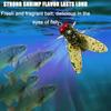 20PCS Sharpened Hook Dry Flies Fishing Lures Kit Simulated Flies Trout Jigs Swimbaits  Trout