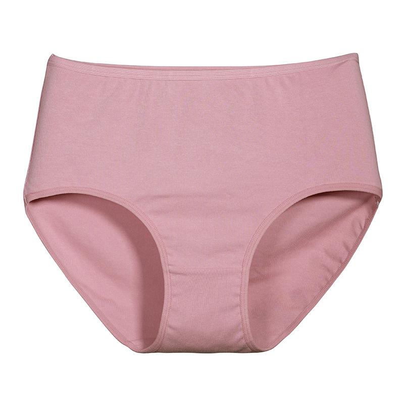Women's Plus Size Cotton High Waisted Stretch Crotch Panties
