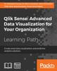 Kniha Qlik Sense: Advanced Data Visualization for Your Organization : Create Smart Data Visualizations and Predictive Analytics Solutions