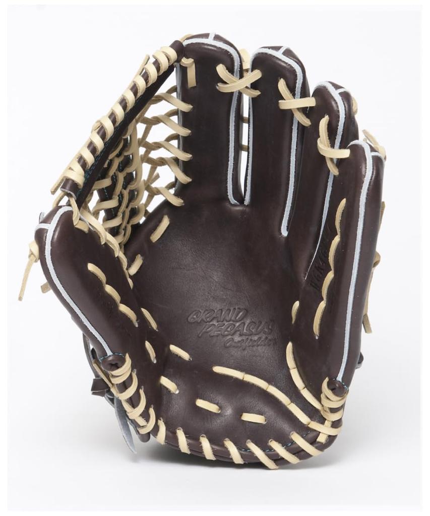 Worldpegasus GP-OUTFIELDER Hardball Baseball Glove for Outfielders (23AW (WGK4GPU7) 0790 Camel Brown/Black) Right-Handed Throw