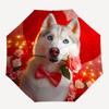 1PC Siberian Husky Automatic Open/close, All-Season Portable Folding Umbrella for Women & Men yy250919164