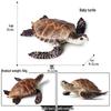 Cross-Border Children's Cognitive Amphibian & Reptile Tortoise Model Fish Tank Ornament Toy