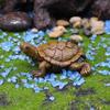Mini Turtle Ornament: Rockery Bonsai for Fish Tank, Pond, or Courtyard Decoration