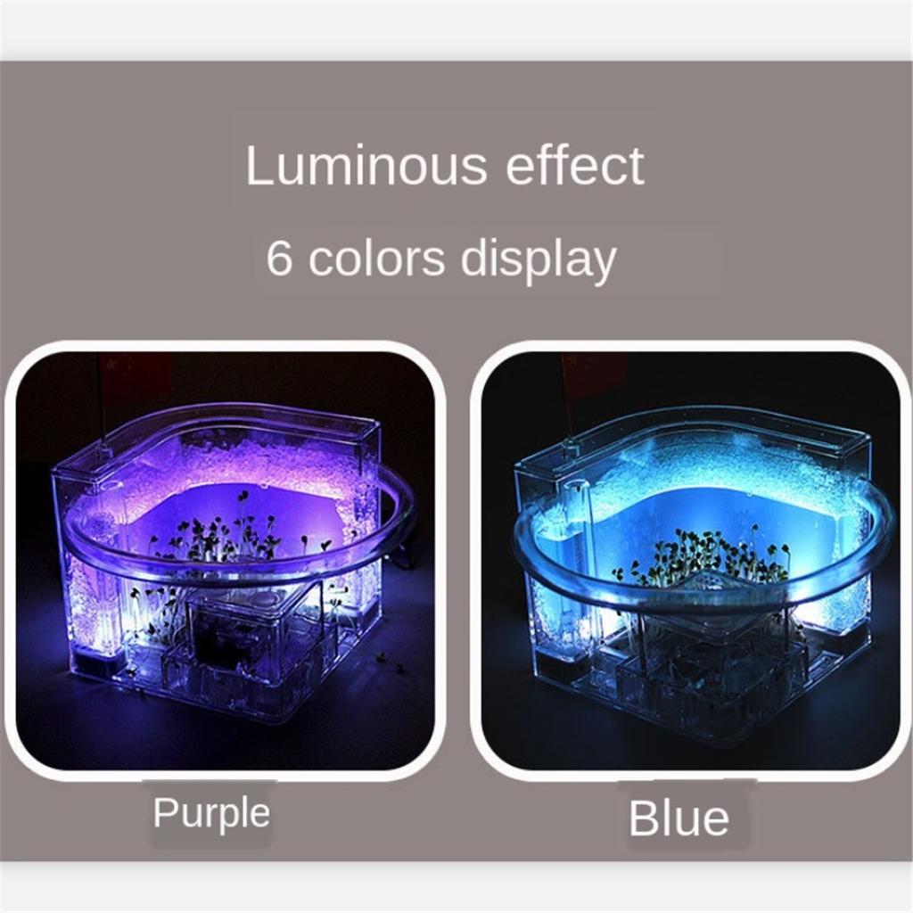 DIY Luminous Small Pet Living Boxes, Ant Workshop, Ant Villa, Workshop, Home Castle, Ant Farm, Children ToysDIY