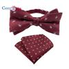 Two-piece Suit Paisley Bow Tie And Pocket Squares Handkerchief