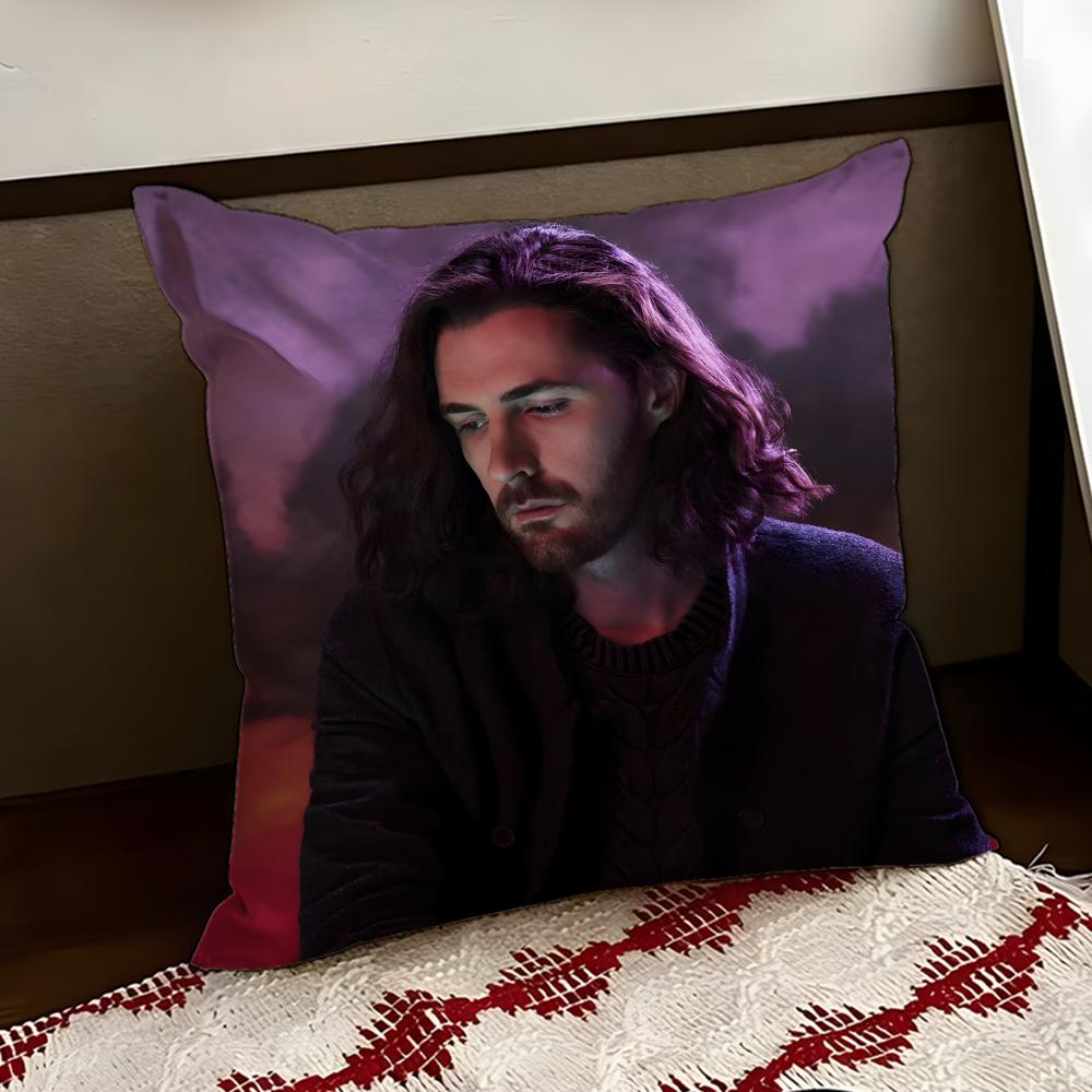 Hozier singer Cushion Cover Reversible Soft Durable Pillow Cover Home  Car MultiScene Use for Daily Comfort