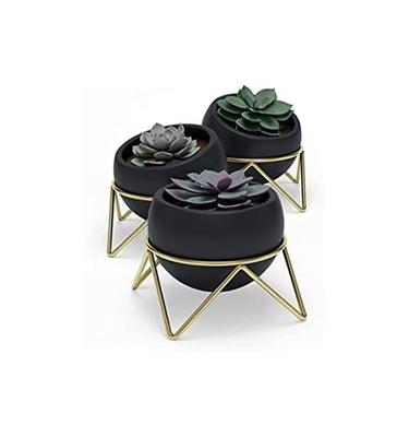 Potsy Planter 3pcs Set Black X Gold Planter Pot Pot Houseplant Gardening 210131911137 Black X Gold