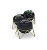 Umbra Potsy Planter 3pcs Set Black X Gold Planter Pot Pot Houseplant Gardening 210131911137 Black X Gold