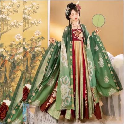 Chinesischer Hanfu im Tang-Dynastie-Stil für Damen, Überlange Rocklänge, Bestickter Hanfu-Rock bis zur Taille, Alltagsset