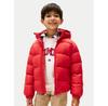Abrigos y capas – Chaquetas
