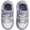 Nike Dunk Slip Resistant Abrasion Resistant Low Top Toddler Shoes Gray Infant And Toddler Baby FB9107-121