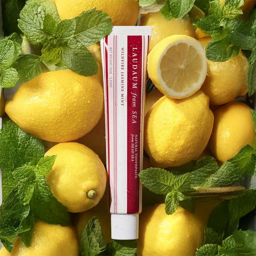 Wildfire Jasmine Mint Toothpaste 100g