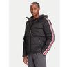 Transitional Jacket Z5BL02 WFIQ2