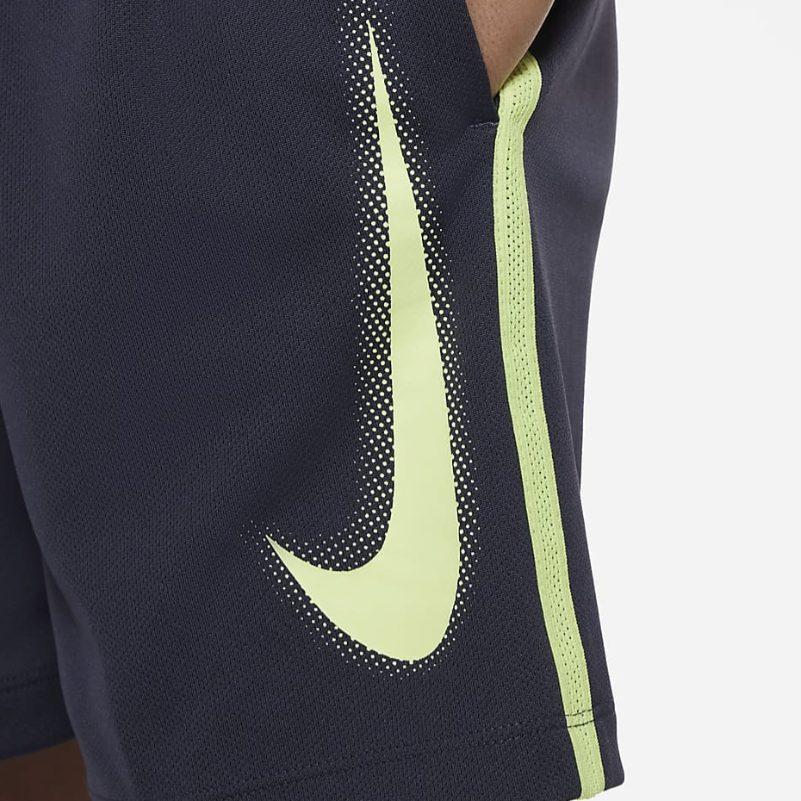 Nike Kids Shorts Moderate DX5361-015