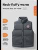 Men's & Couple's Cotton Padded Vest: Thick Stand-Up Collar Casual Waistcoat for Autumn/Winter 