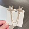New Fashion Rhinestone Pearl Star Brocohes for Women and Men Tassel Chain Corsage Lapel Pins Luxulry Jewelry Accessories