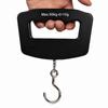 50kg Mini Portable Electronic Scale Home Household Supermarket Buying Vegetables Fishing Hook Scale Express Parcel Luggage