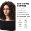 ALAN EATON Women's Kinky Curly Wigs for Black Women Black/Dark Brown Synthetic Wigs Heat Resistant Daily Party
