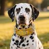 Anti-bite Spiked Dog Collars Widen Heavy Duty PU Leather Pet Necklace Sharp Anti-Chew Rivets Pet Collar Outdoor Dog Walking
