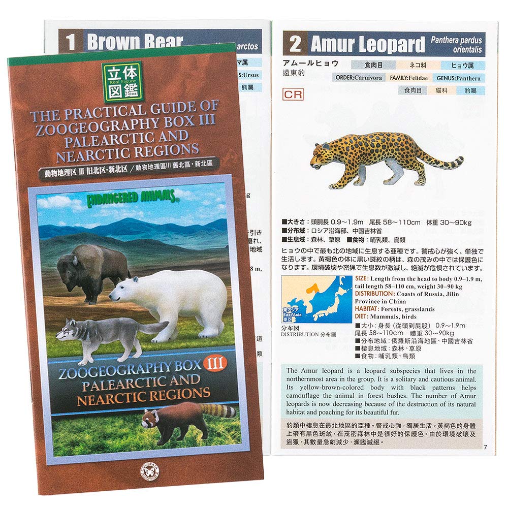 Calorata Animal Geography Zone 3 Figure 3D Encyclopedia of the Old North and New North Zones 12 Species Includes Realistic Figure Box Toy Educational