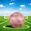 1pc Butterfly Garden Dreams Theme Soccer Ball Football, Size 5, Lightweight PVC, Outdoor Training Soccer Ball,Gift J6142