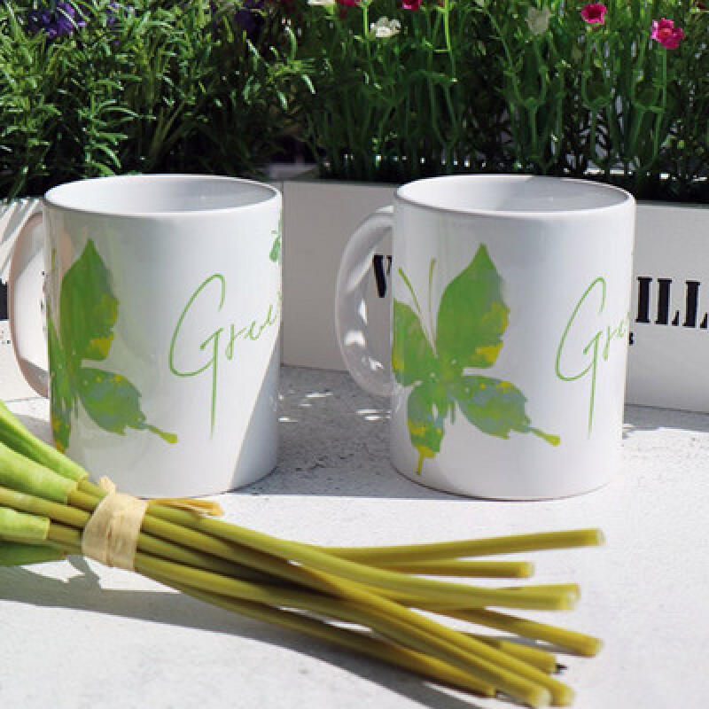 tm312-Design Mug 2p-Greenery