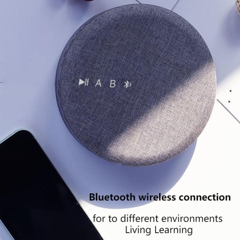 DVD/VCD Player Wireless Bluetooth USB Reading Player Built-in Speaker Rechargeable Audio Player Multi-functional CD Player