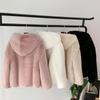 Autumn And Winter Young Fur Coat Women'S Imitation Mink Hair Haining Hooded Short Plush Coat Women