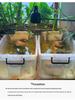 Turtle Tank with Drainage Hole - Transparent Breeding & Storage Box, Small/Large Size for Home Use