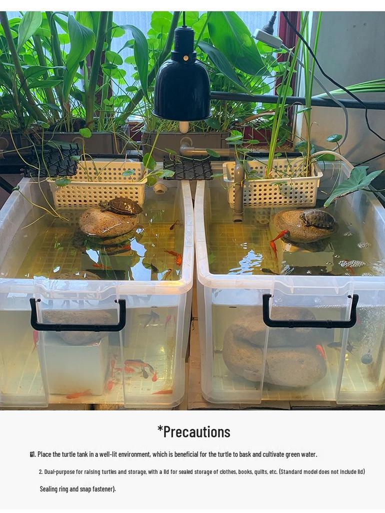 Turtle Tank with Drainage Hole - Transparent Breeding & Storage Box, Small/Large Size for Home Use