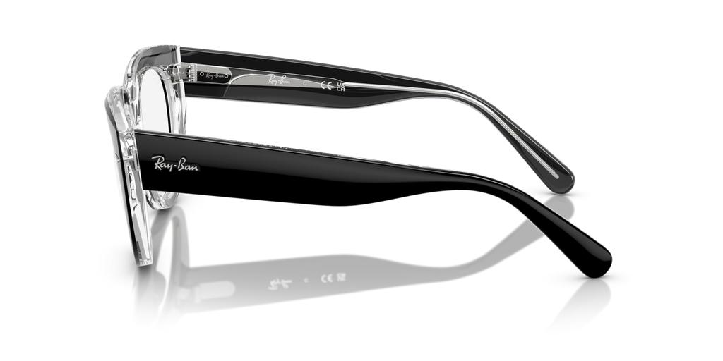 Sunglasses 0RX5586 BLACK ON TRANSPARENT 48 [Ray-Ban]