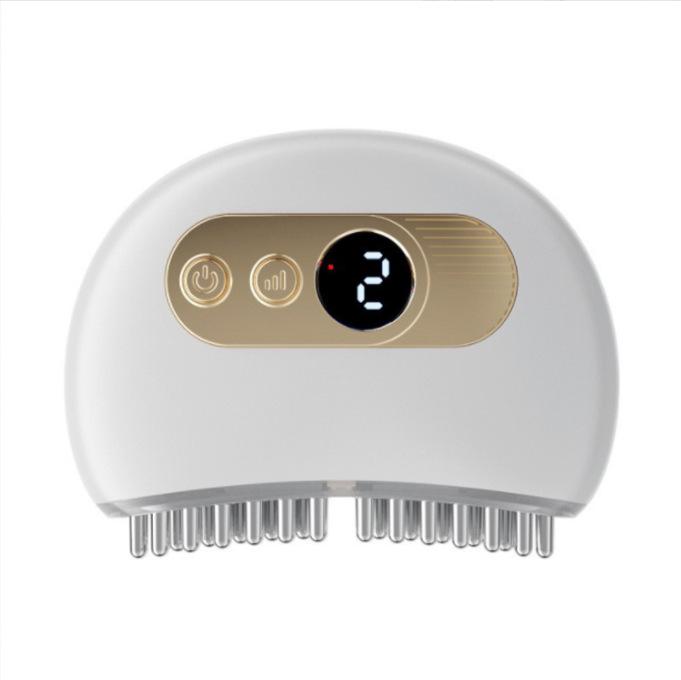Electric Gua Sha Facial Massager with Meridian Point Scraper