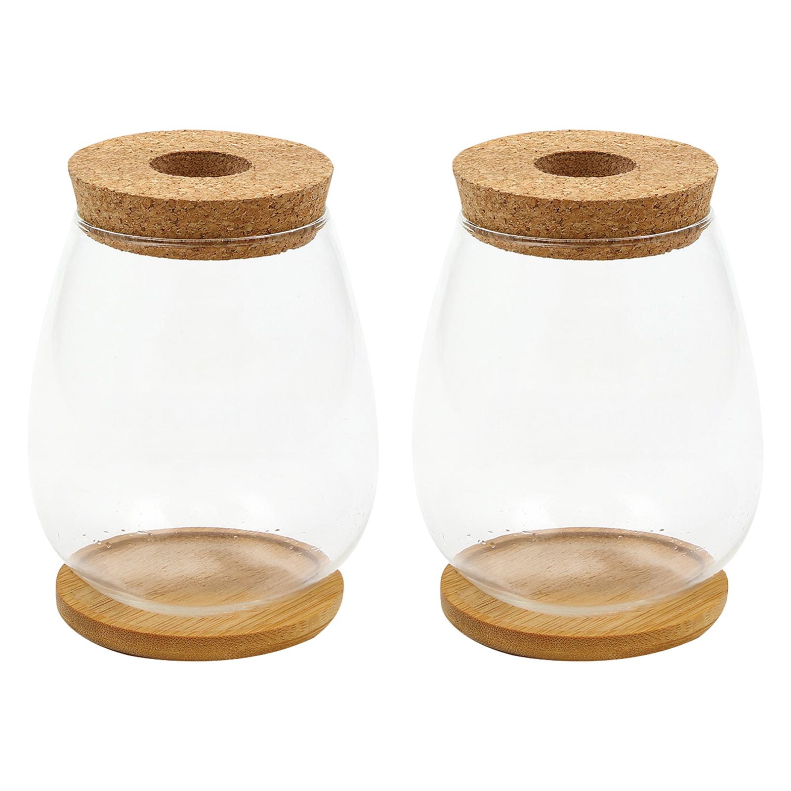 

Растение Террариум Прозрачная Ваза Настольные Станции для Проращивания Стеклянная Кашпо Для Декора Офиса Дома Сада