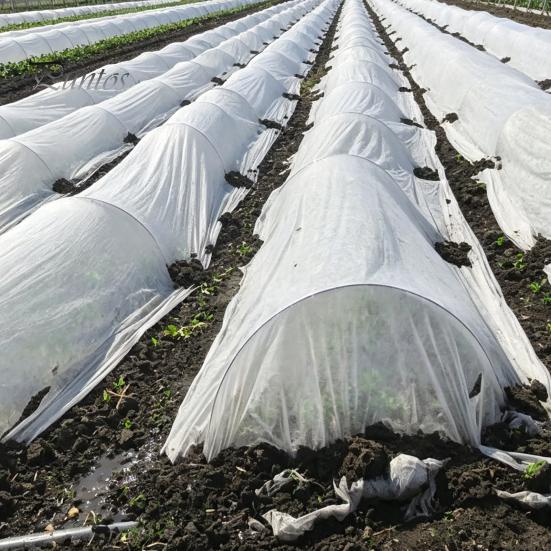 Outdoor Frost Protection Sheet Floating Row Cover for Garden Plants, Blanket, Breathable Non-woven Cold Resistant Plant Fabric Seedlings Vegetables