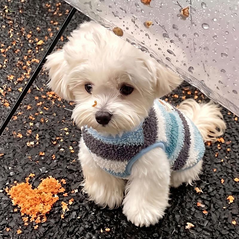 Dog fleece clothes autumn and winter rainbow candy striped than bear cat teddy small dog warm pet vest