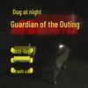 Glow-in-the-Dark Flashing Pet Tag and Leash Charm