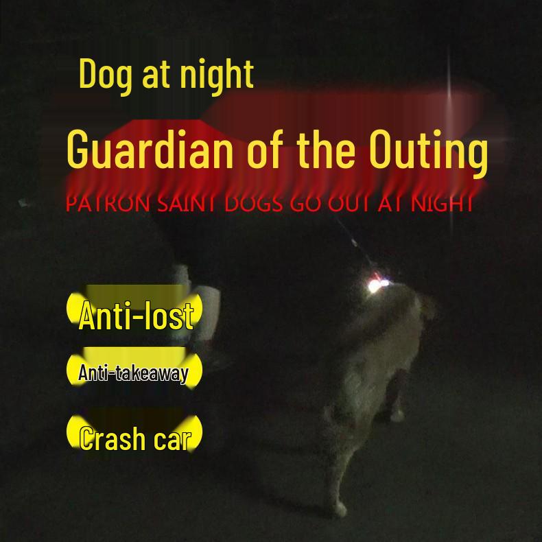 Glow-in-the-Dark Flashing Pet Tag and Leash Charm
