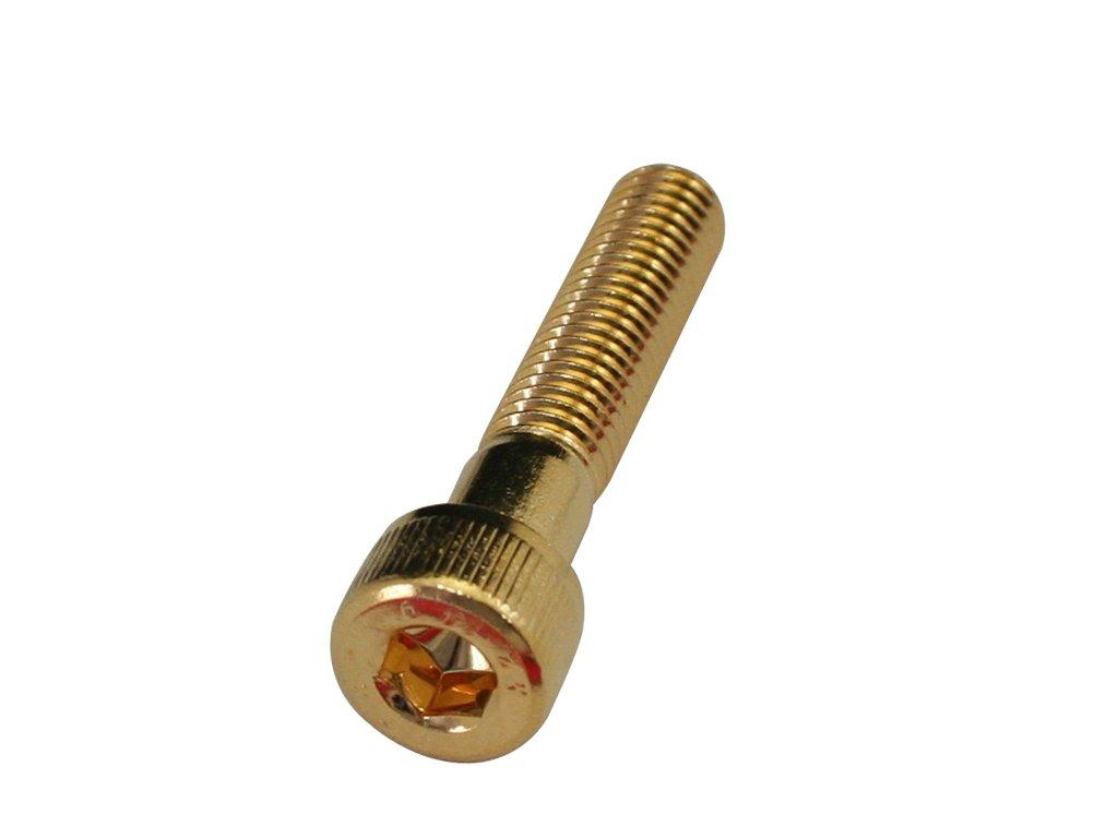 

POSH 810650-040 Stainless Steel Cap Bolts, 24K Plated, M8X40, Pack of 1 M8 x 40